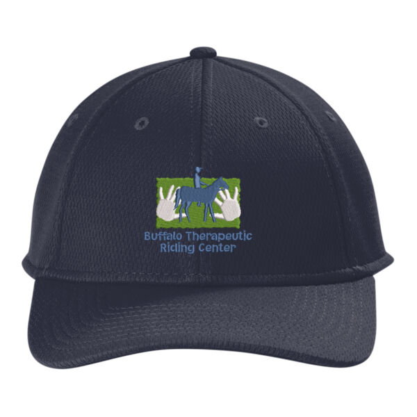 BTRC - Performance Dash Adjustable Cap Thumbnail